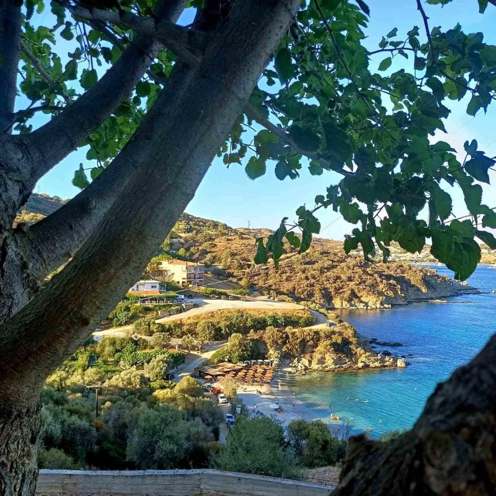 Aegean Beachfront Petriaí Eksteriør bilde
